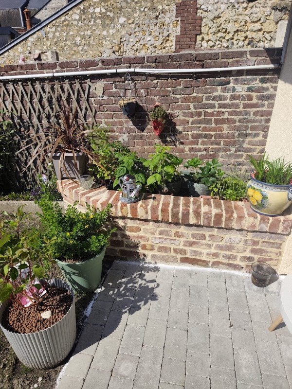 Maçon Fécamp : création d'une jardinière en brique pour des particuliers